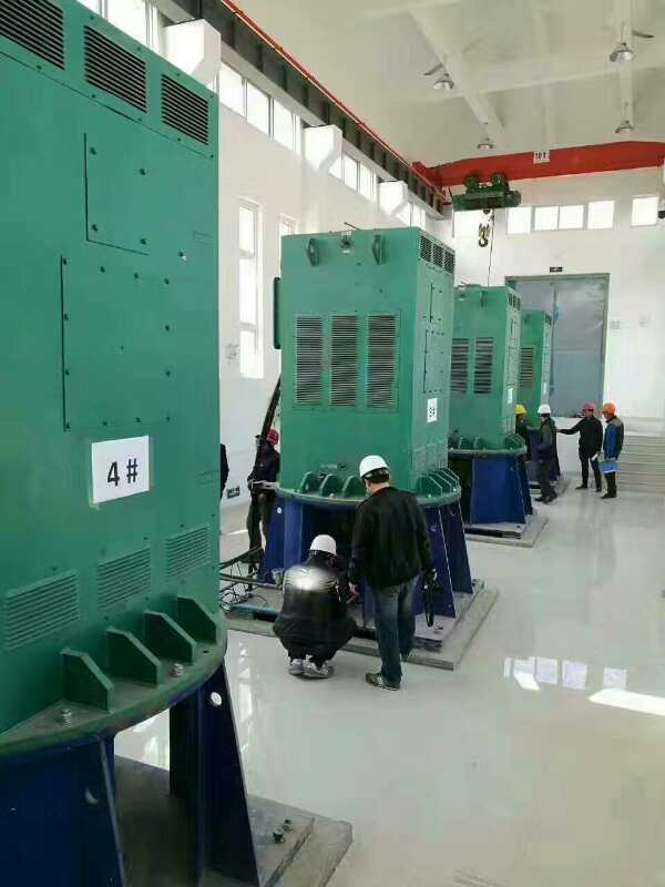 Y5602-10某污水处理厂使用我厂的立式高压电机安装现场