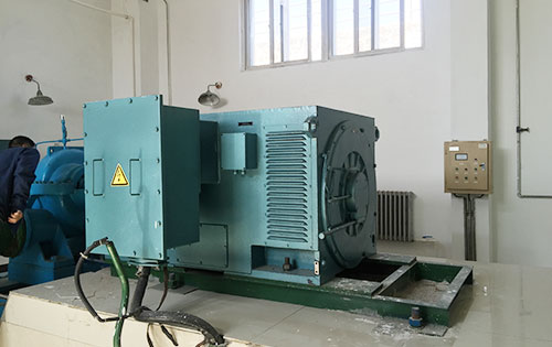Y5602-10某水电站工程主水泵使用我公司高压电机生产厂家