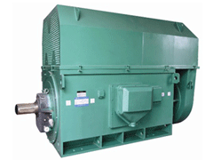 Y5602-10Y系列6KV高压电机